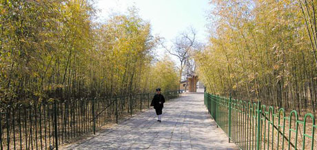 Chinese garden