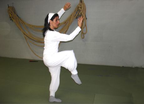 'Tai Chi FAN 2008'