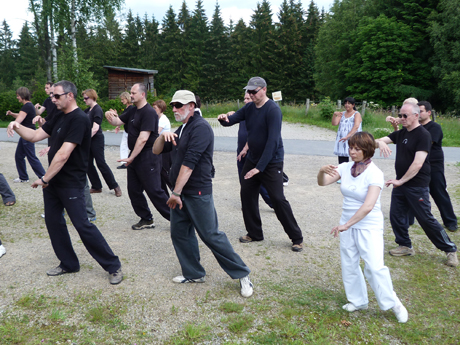 Minimalistic Tai Chi Chuan