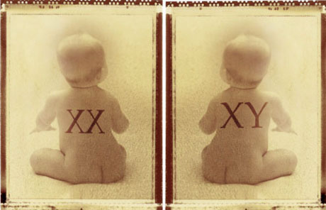 XX - XY