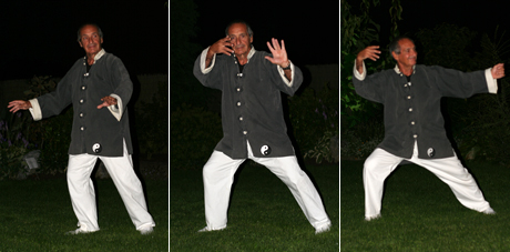 Tai Chi fan